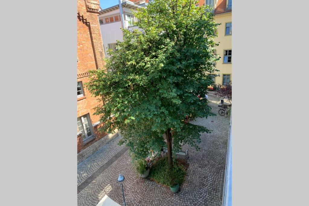 Altstadt, Fewo Im Markthof Am Dom 埃尔福特 外观 照片
